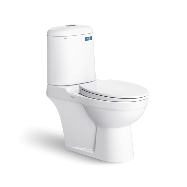 Bồn cầu 2 khối Viglacera VI107