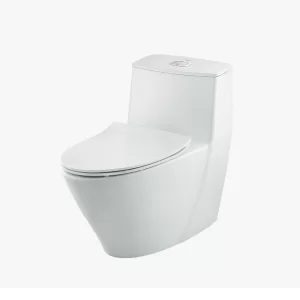 Bồn Cầu 1 khối INAX AC-919VRN