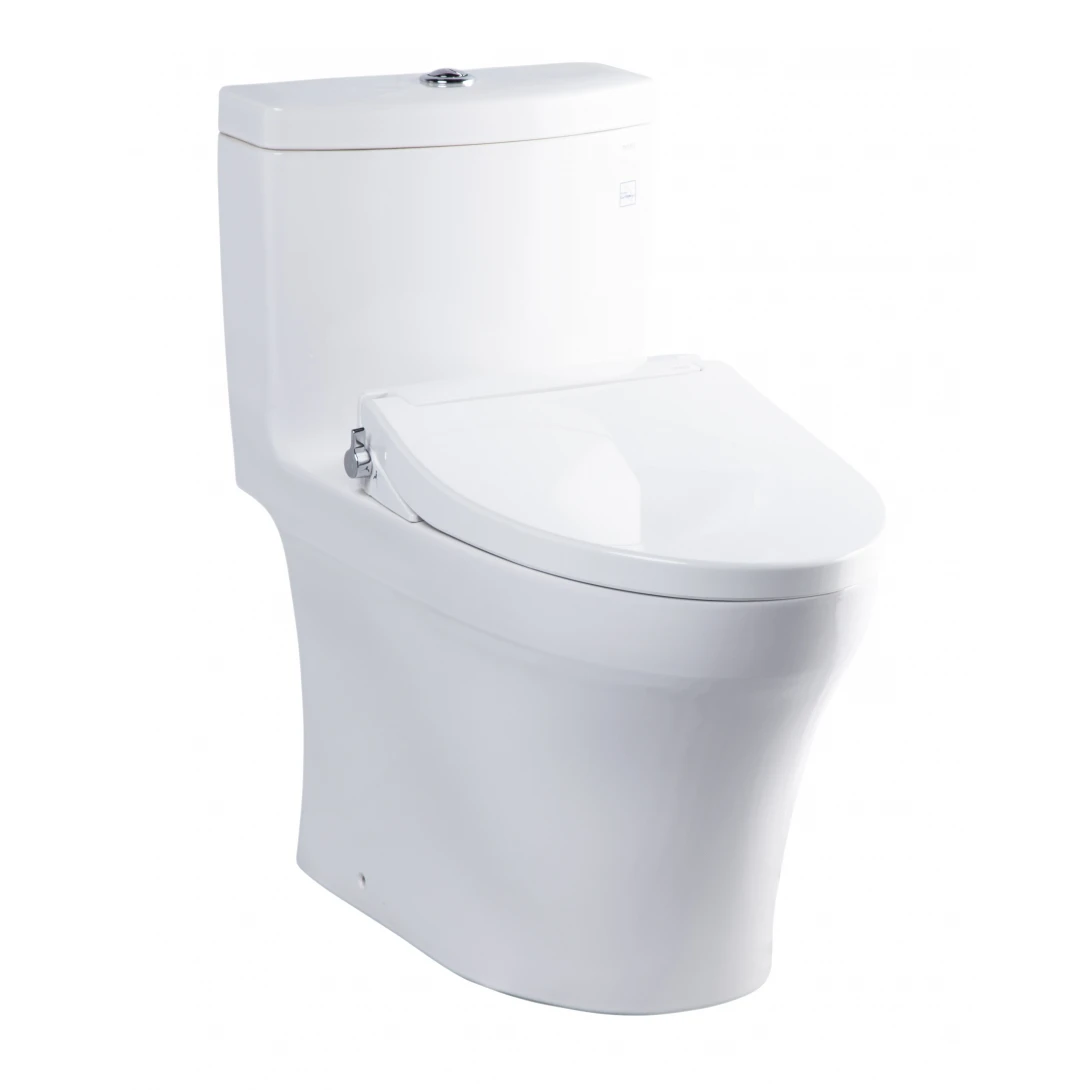 Bồn cầu TOTO MS889DRE2