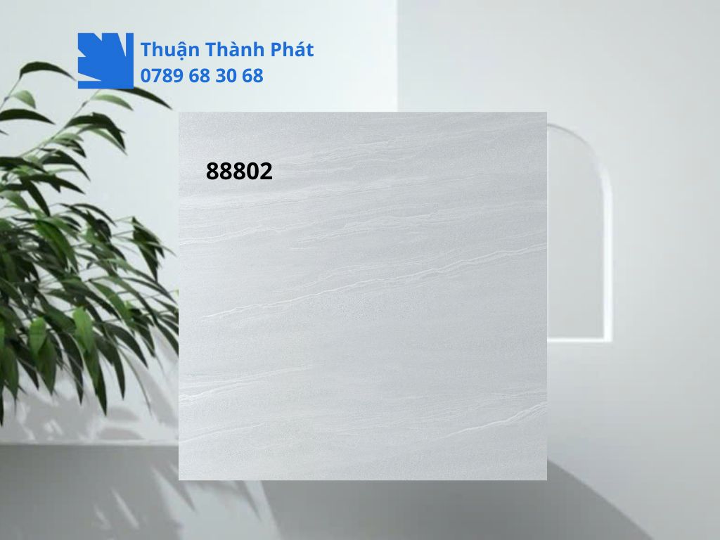 Cận cảnh Gạch lát nền Feliz 88802