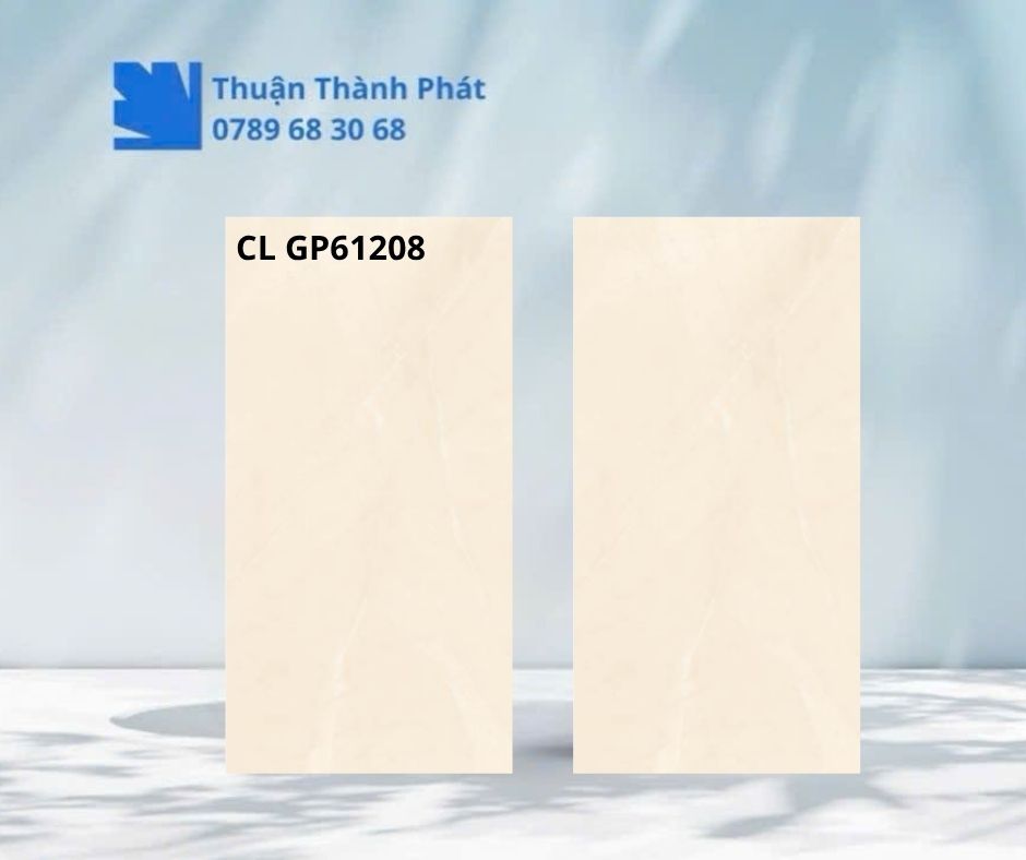 Cận cảnh bề mặt Gạch lát nền Viglacera CL GP61208