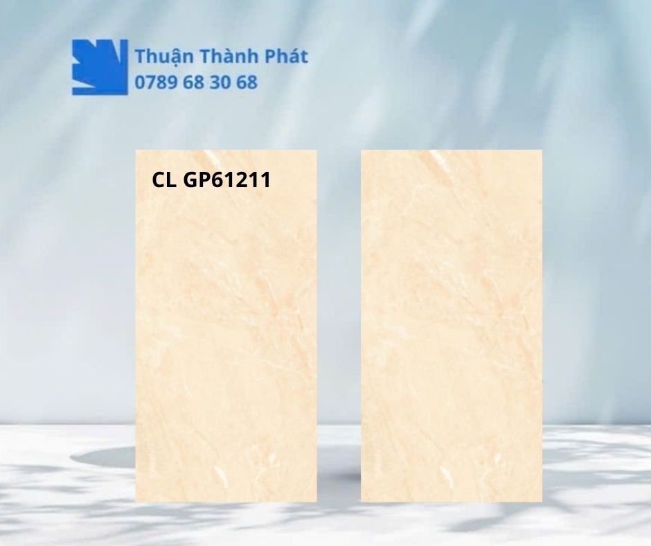 Cận cảnh bề mặt Gạch lát nền CL GP61211