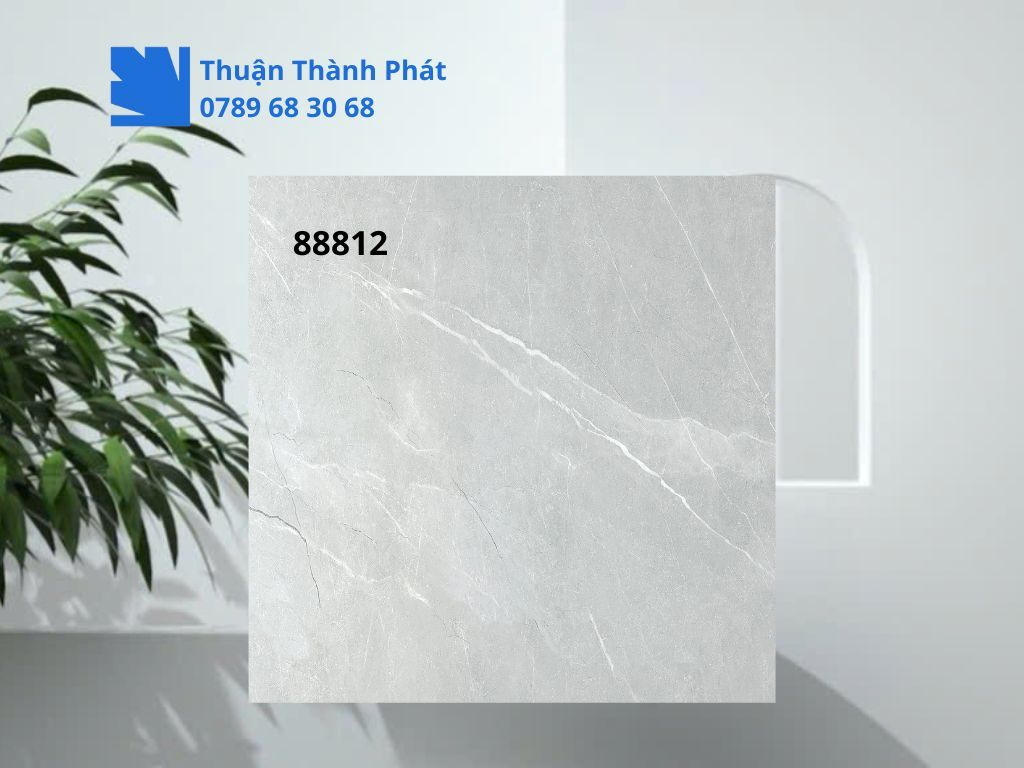 Cận cảnh bề mặt matt Gạch lát nền Feliz 88812