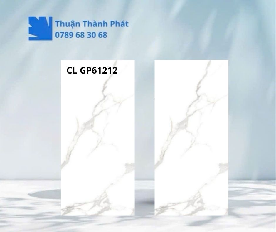 Cận cảnh bề mặt Gạch lát nền CL GP61212