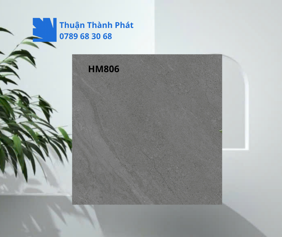 Gạch Lát Nền Viglacera HM806 toàn cảnh