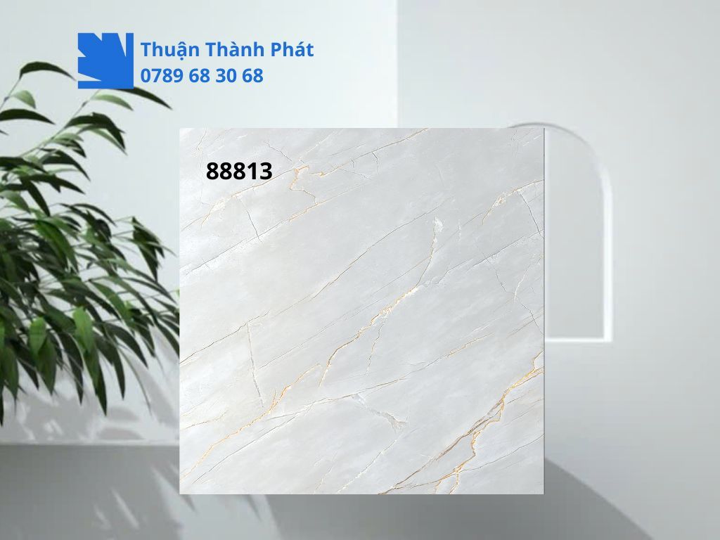 Cận cảnh bề mặt matt Gạch lát nền Feliz 88813