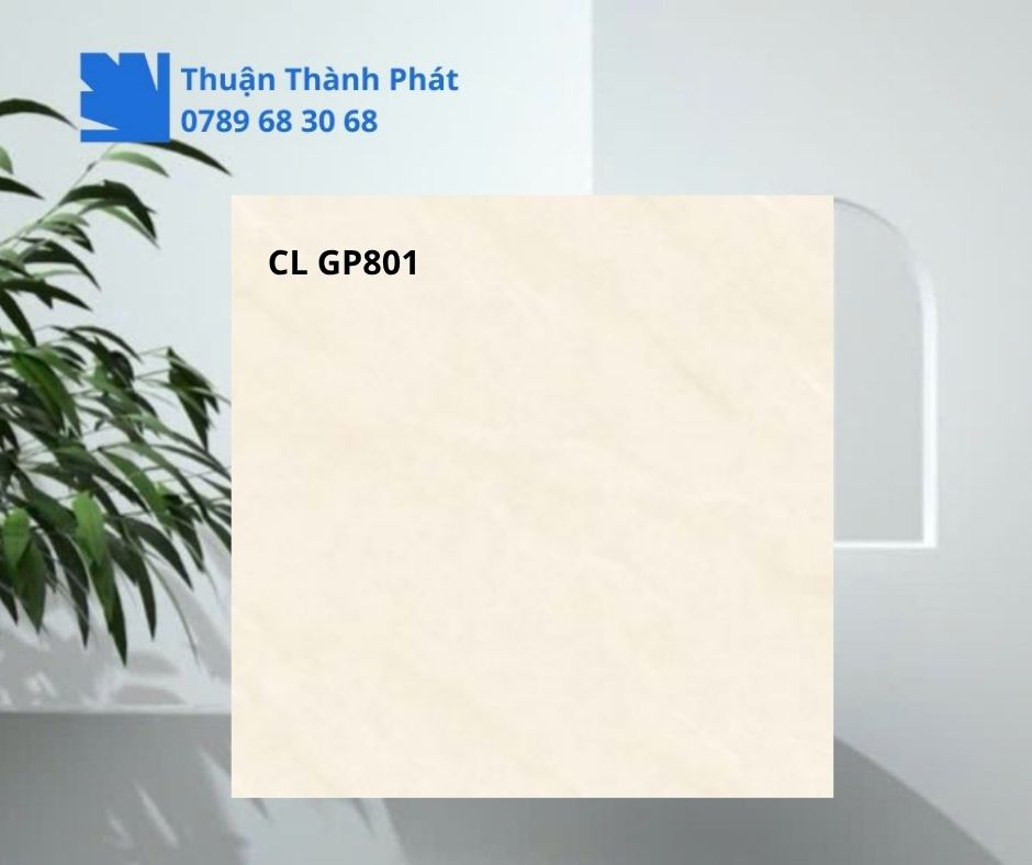 Cận cảnh bề mặt Gạch lát nền Viglacera CL GP801