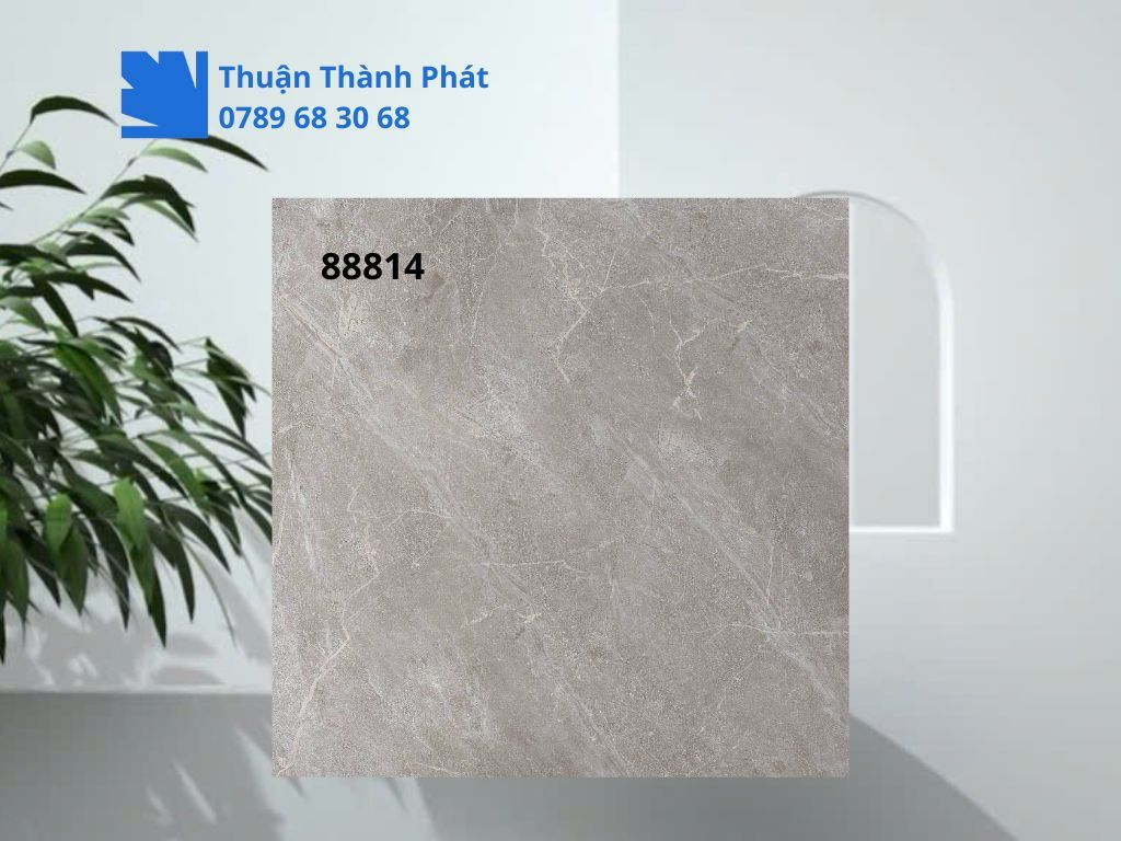 Cận cảnh bề mặt matt Gạch lát nền Feliz 88814