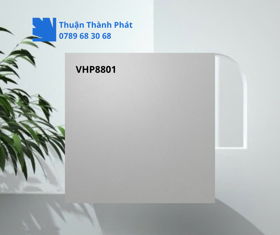 Gạch lát nền Viglacera VHP8801