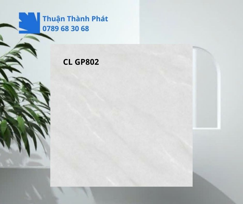 Cận cảnh bề mặt Gạch lát nền Viglacera CL GP801