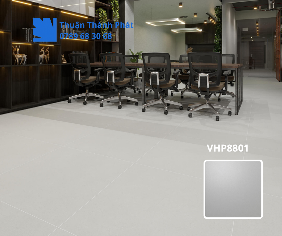 Gạch lát nền Viglacera VHP8801 lát phòng khách