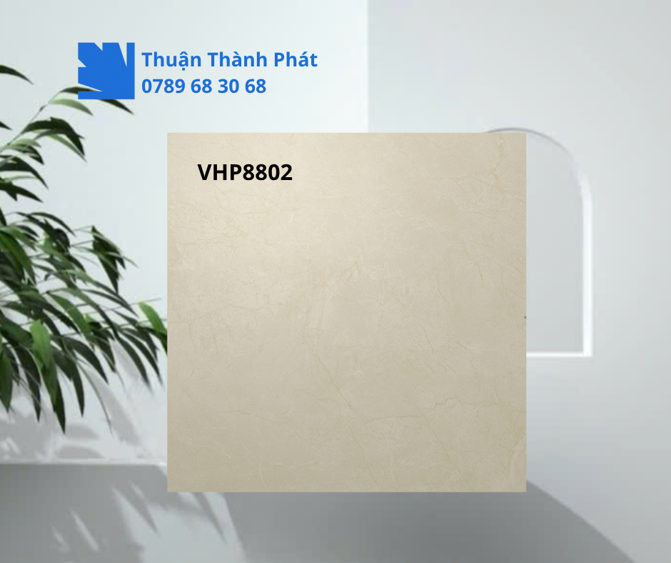 Gạch lát nền Viglacera VHP8802