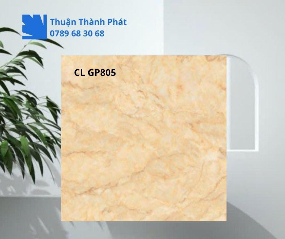 Cận cảnh bề mặt Gạch lát nền Viglacera CL GP805