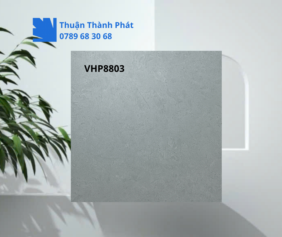 Cận cảnh họa tiết vân đá gạch lát nền Viglacera VHP8803