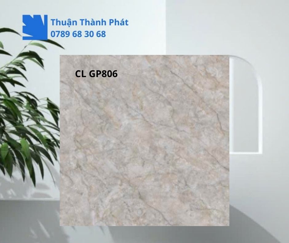 Cận cảnh bề mặt Gạch lát nền Viglacera CL GP806