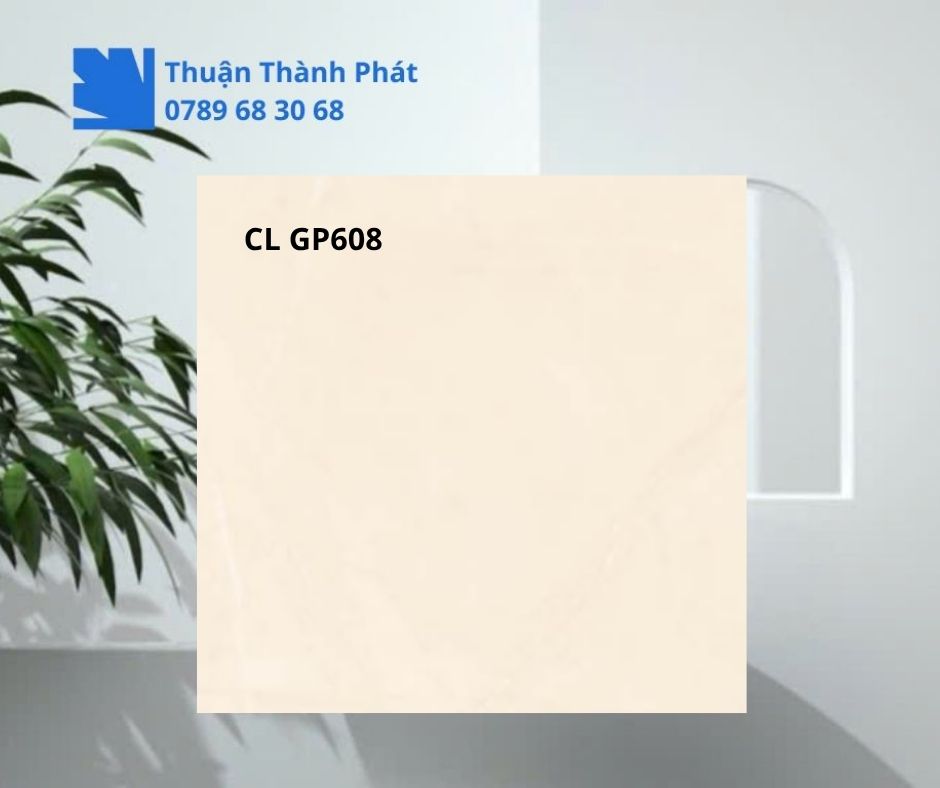 Cận cảnh bề mặt Gạch lát nền CL GP608