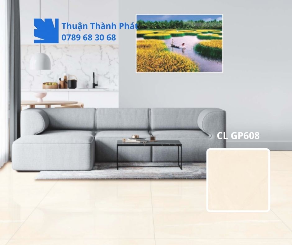 Gạch lát nền CL GP608 phối nền phòng khách phong cách tối giản