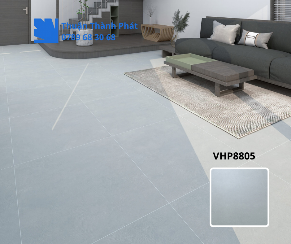 Gạch lát nền Viglacera VHP8805 lát phòng khách cao cấp