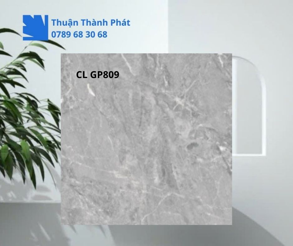 Cận cảnh bề mặt Gạch lát nền Viglacera CL GP809