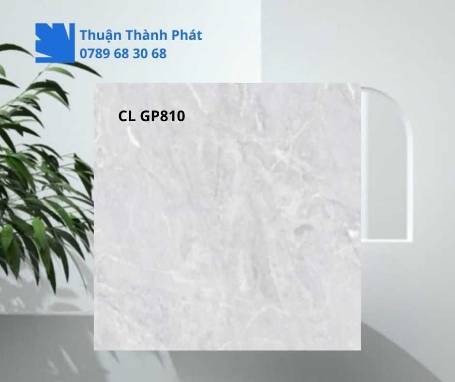 Cận cảnh bề mặt Gạch lát nền Viglacera CL GP810