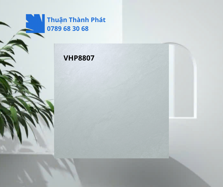Gạch lát nền Viglacera VHP8807 Cận cảnh bề mặt gạch