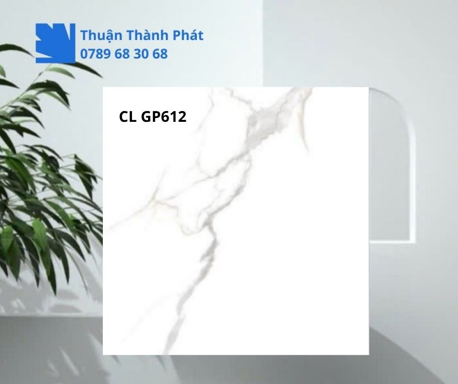 Cận cảnh bề mặt Gạch lát nền Viglacera CL GP612