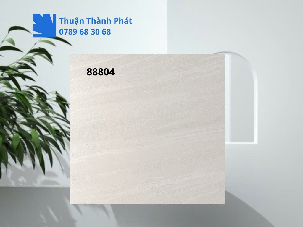 Cận cảnh bề mặt matt nhám Gạch lát nền Feliz 88804