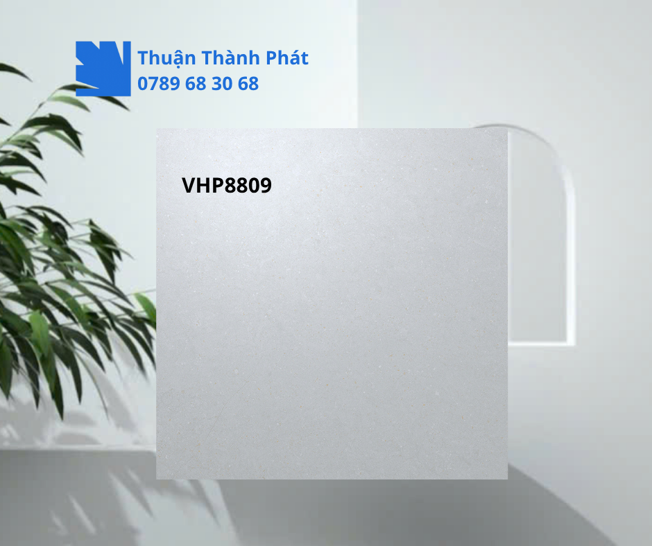 Cận cảnh bề mặt men matt của gạch lát nền Viglacera VHP8809