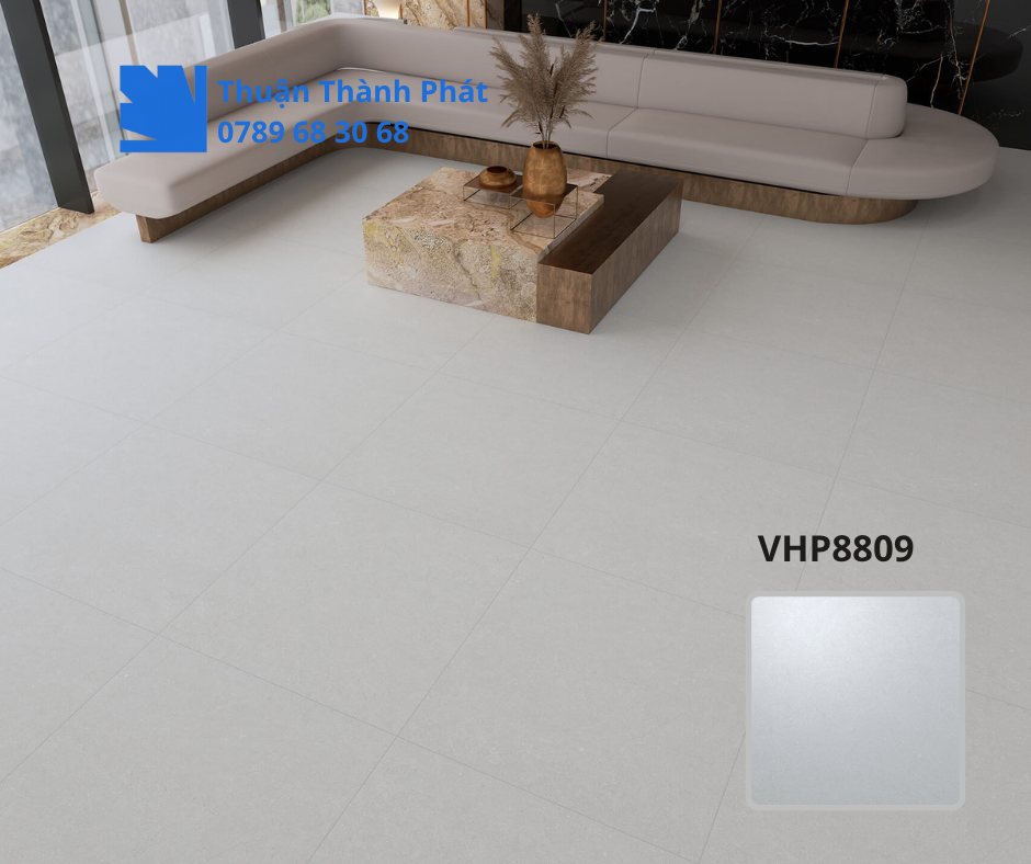 Gạch lát nền Viglacera VHP8809 ứng dụng trong phòng khách