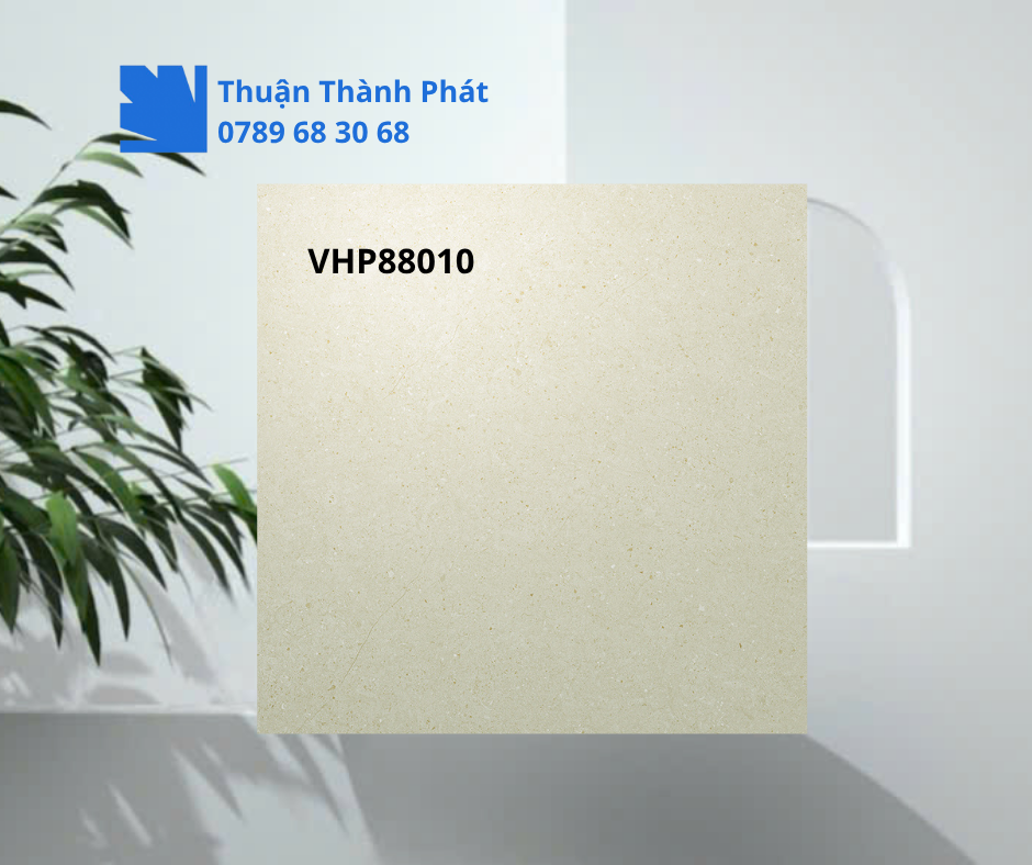 Gạch lát nền Viglacera VHP88010 cận cảnh bề mặt