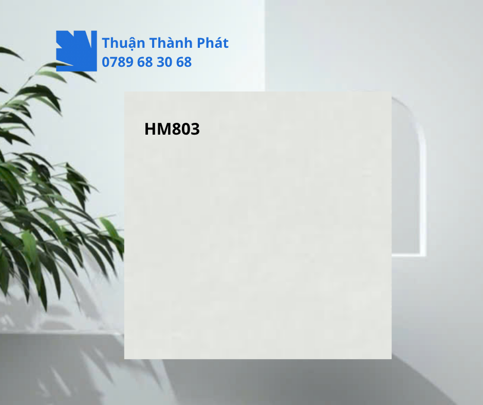 Gạch lát nền Viglacera HM803 80x80 toàn cảnh bề mặt