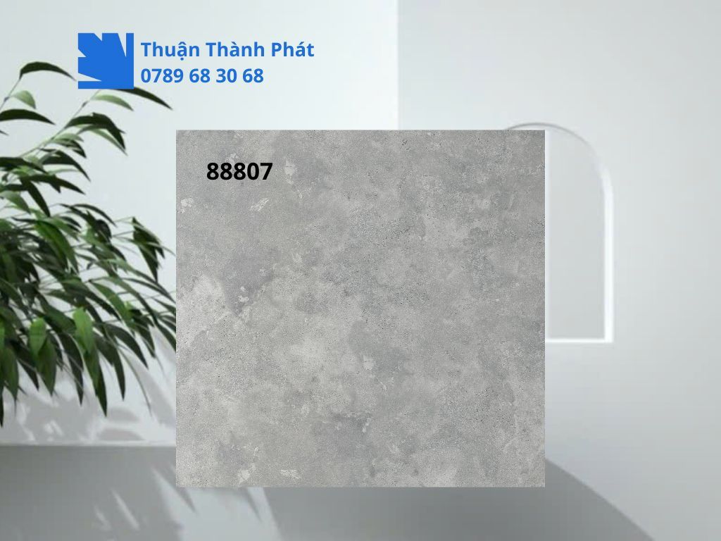 Cận cảnh bề mặt matt Gạch lát nền Feliz 88807