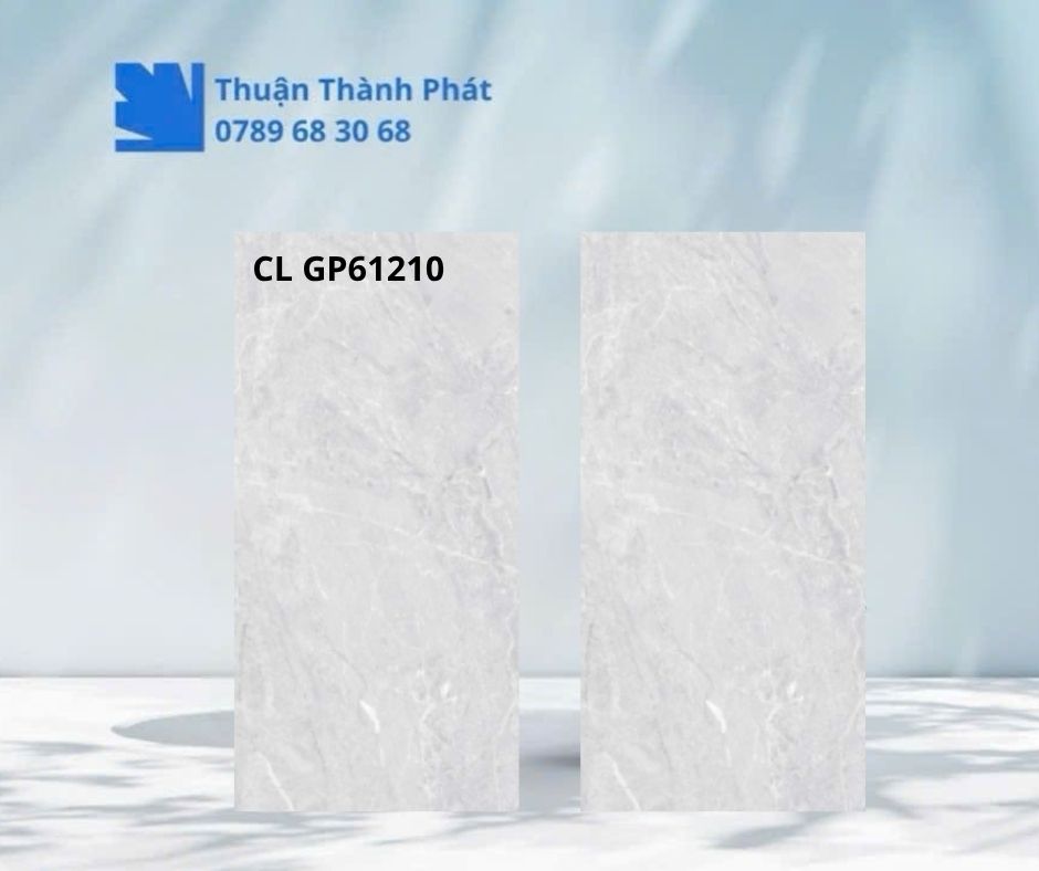 Cận cảnh bề mặt Gạch lát nền CL GP61210
