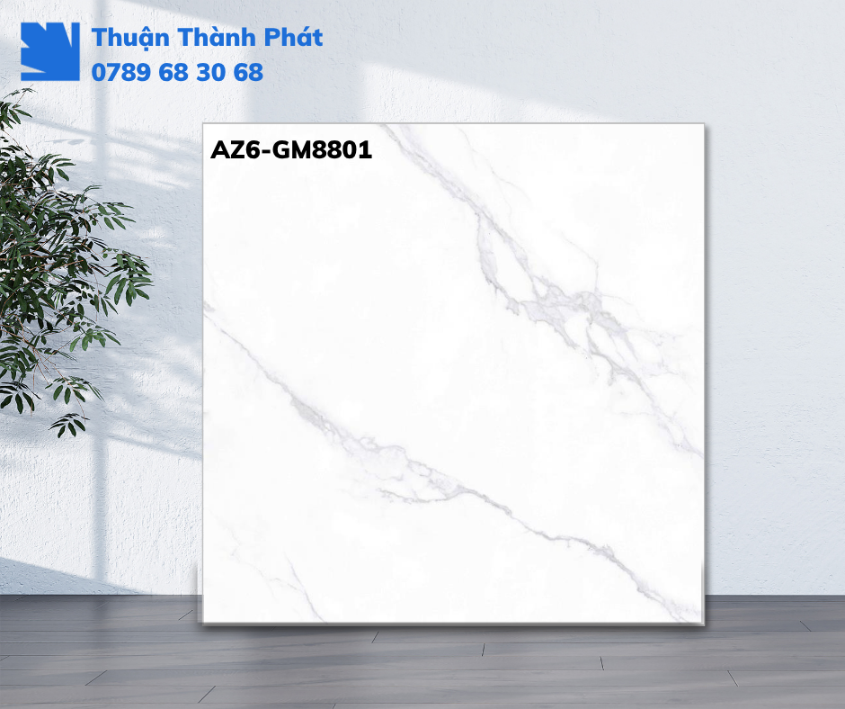 Gạch lát nền Viglacera AZ6-GM8801 trong phòng khách, vân khói, bề mặt mờ.