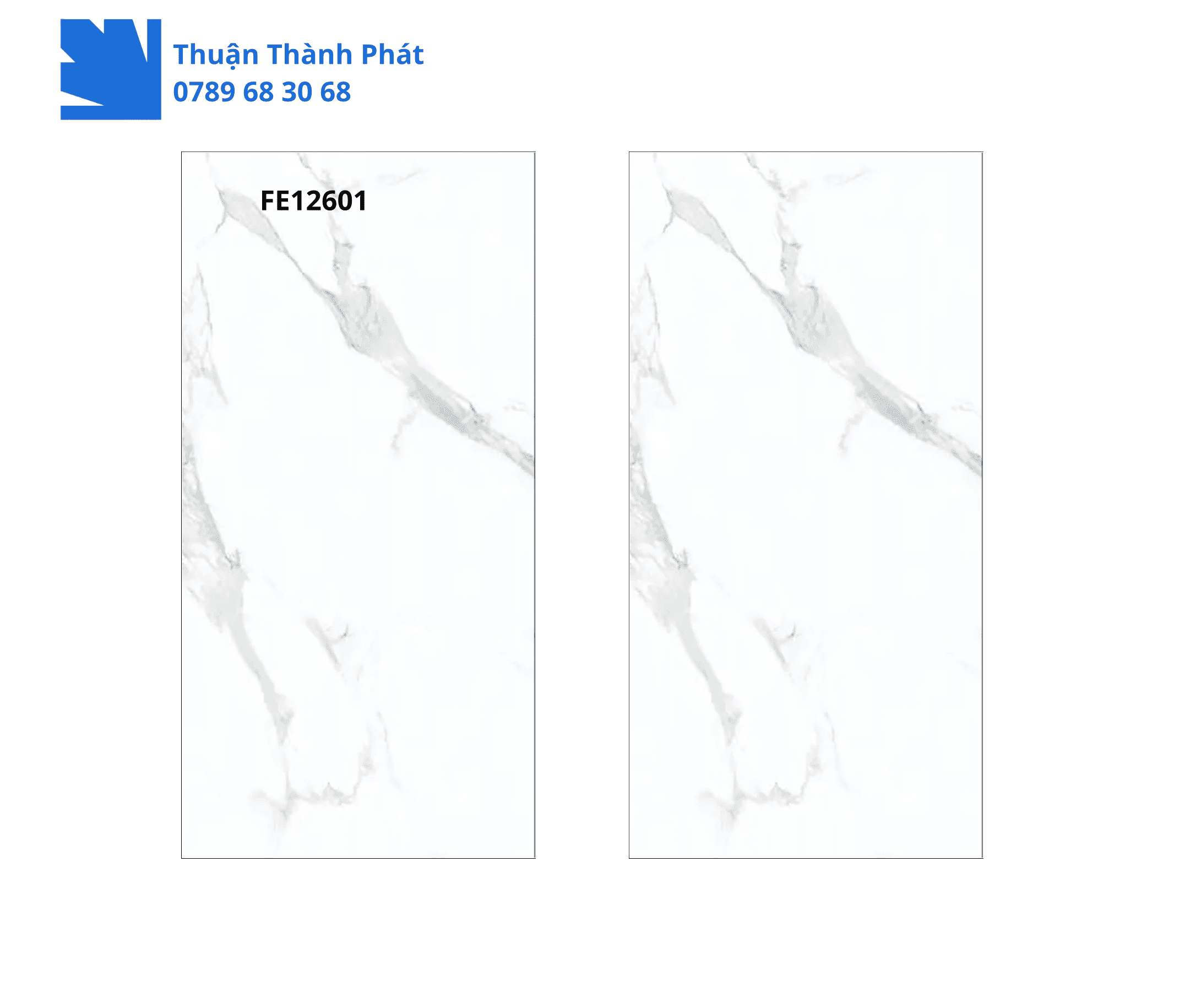 Gạch Ốp Lát FE12601 Feliz Tiles 3 Gạch Ốp Lát FE12601 Feliz Tiles 60x120 màu trắng vân đá phòng khách