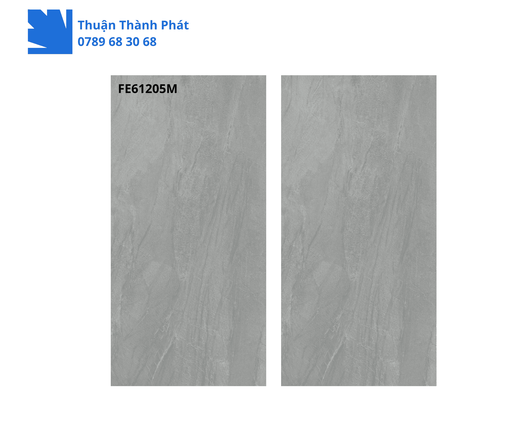 Gạch Ốp Lát FE61205M Feliz Tiles 3 Gạch Ốp Lát FE61205M Feliz Tiles 60x120 màu xám vân đá lịch sự