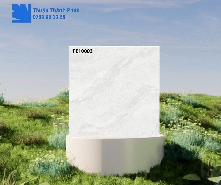Gạch Ốp Lát Feliz FE10002 100x100 trắng vân đá phối cảnh