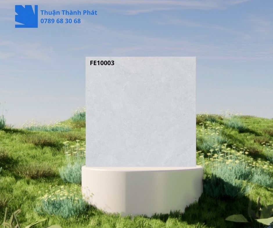Gạch Ốp Lát Feliz FE10003 100x100 xám vân đá