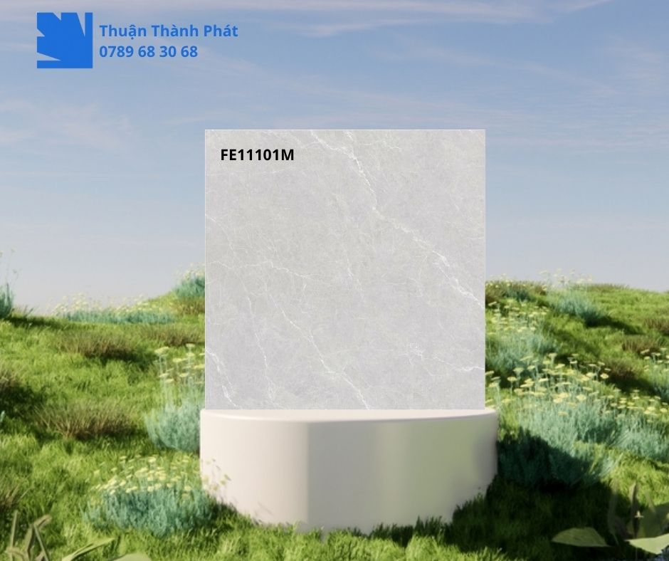 Gạch Ốp Lát Feliz FE11101M 100x100 xám vân đá