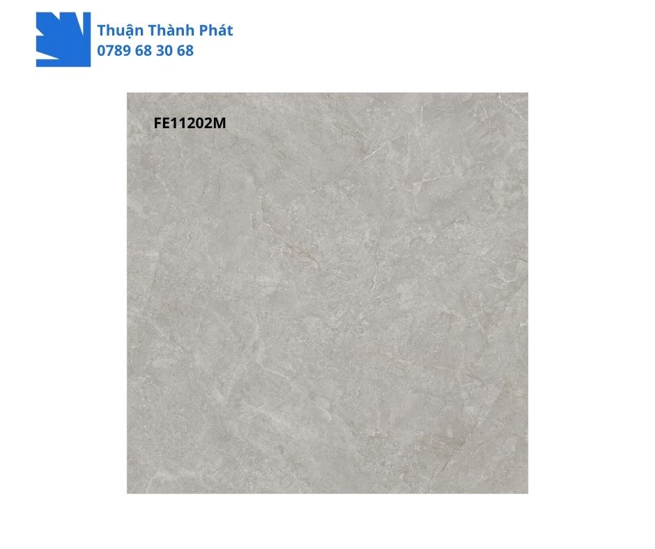 Gạch Ốp Lát Feliz FE11202M 3 Gạch Ốp Lát Feliz FE11202M 100x100 xám vân đá phòng khách