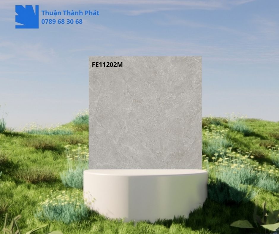 Gạch Ốp Lát Feliz FE11202M 100x100 xám vân đá