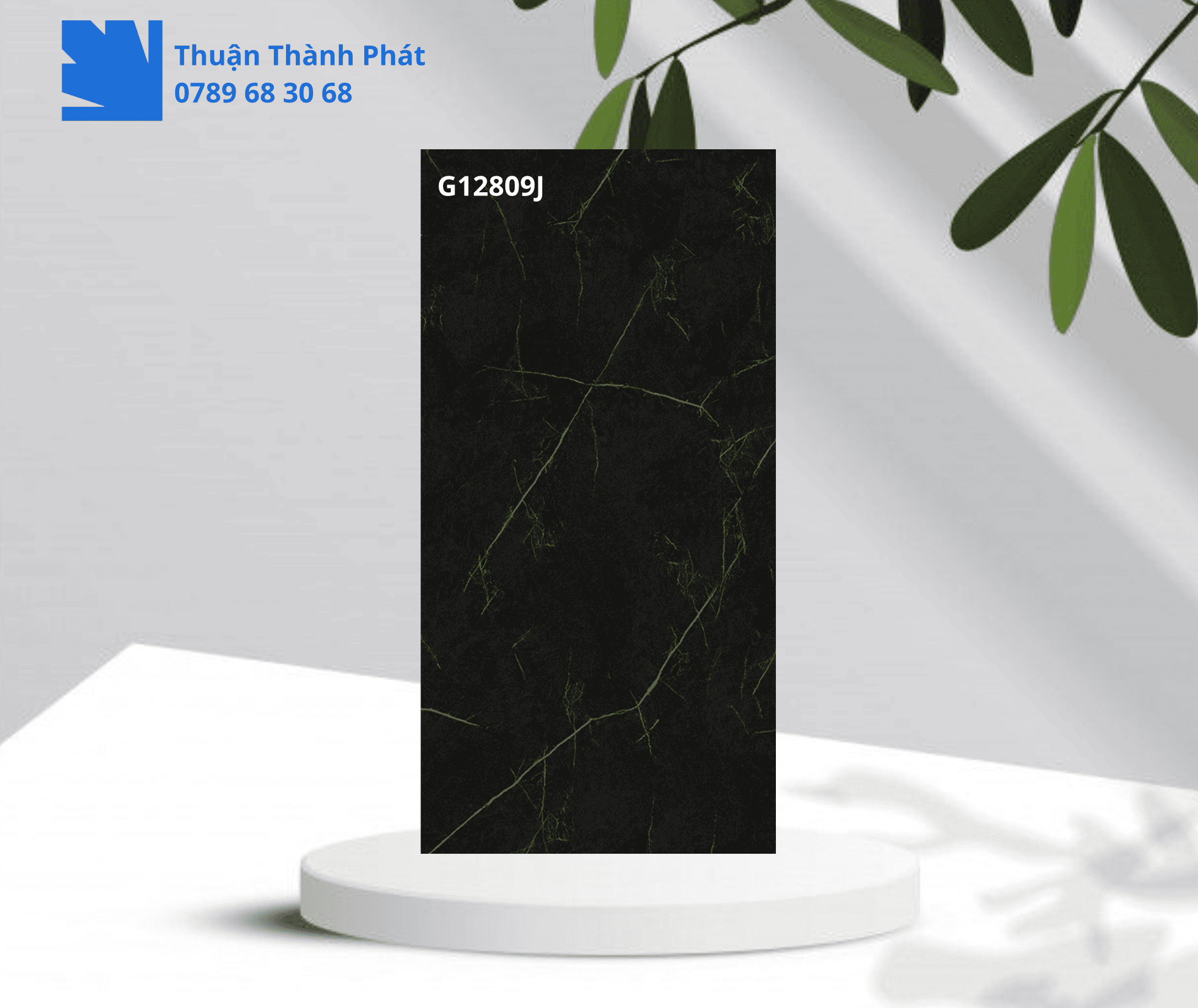 Gạch Ốp Lát Taicera G12809J tông đen chống trơn