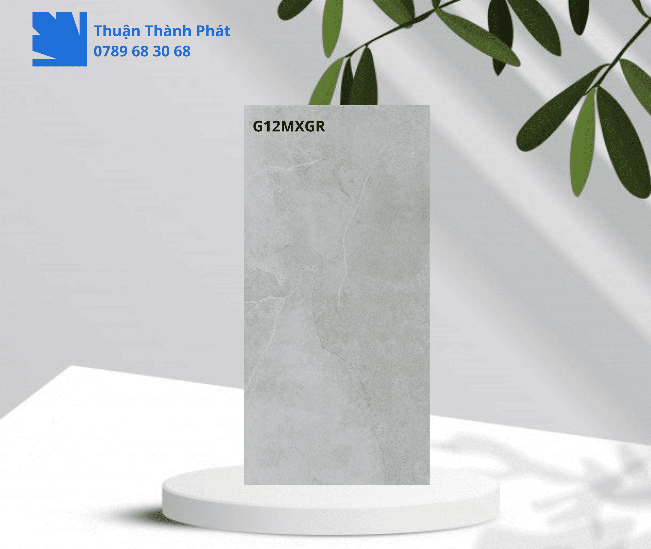 Gạch Ốp Lát Taicera G12MXGR tông xám lịch lãm