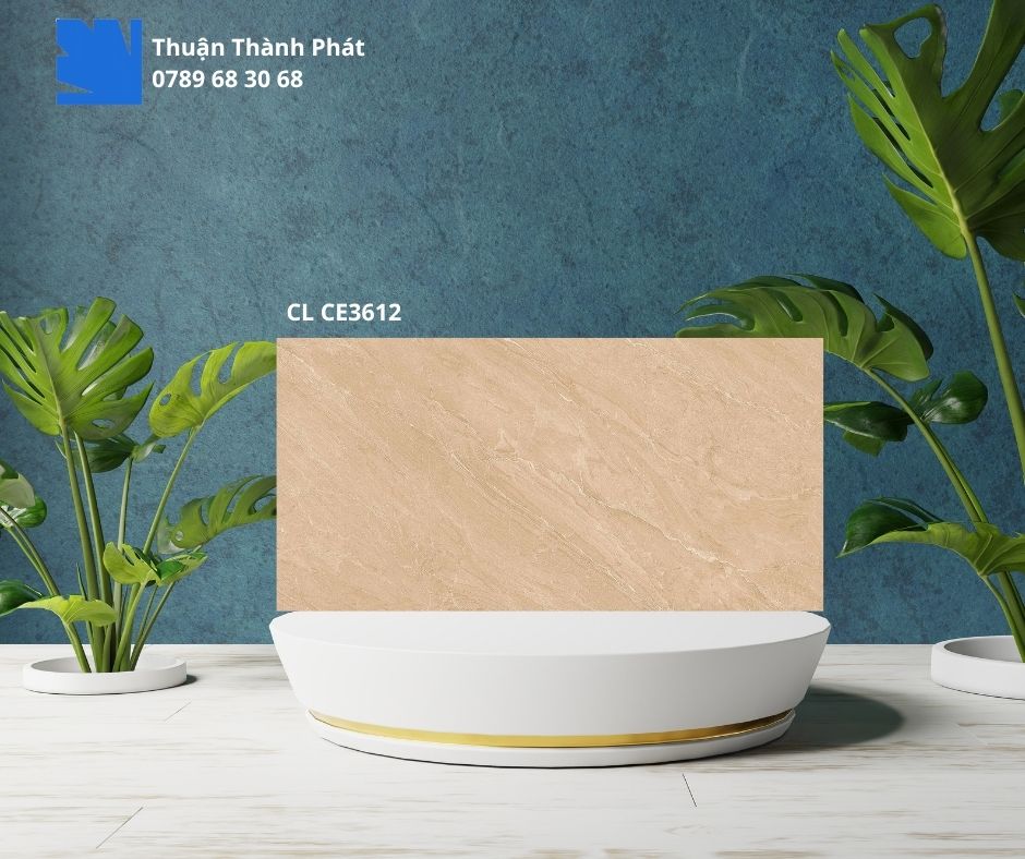 Gạch Ốp Lát Viglacera CL CE3612 30x60 ceramic ốp lát tường