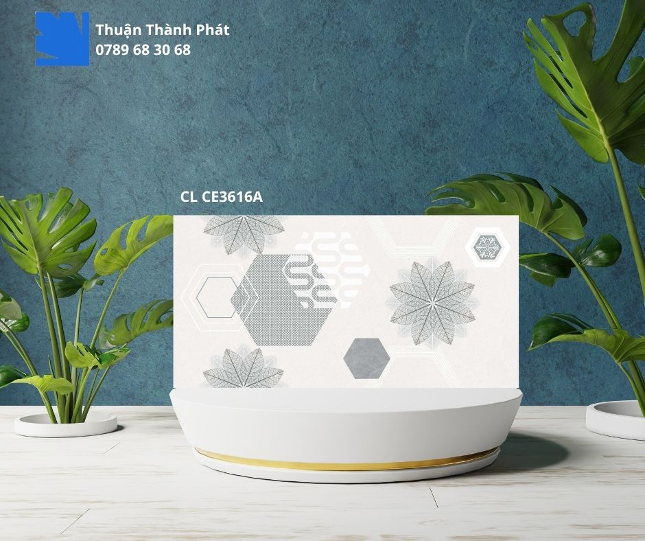 Gạch Ốp Lát Viglacera CL CE3616A 30x60 ceramic ốp lát tường