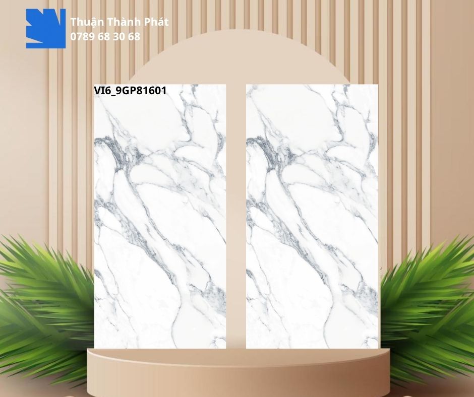 Gạch Ốp Lát Viglacera VI6-9GP81601 80X160 vân đá marble ốp lát phòng khách