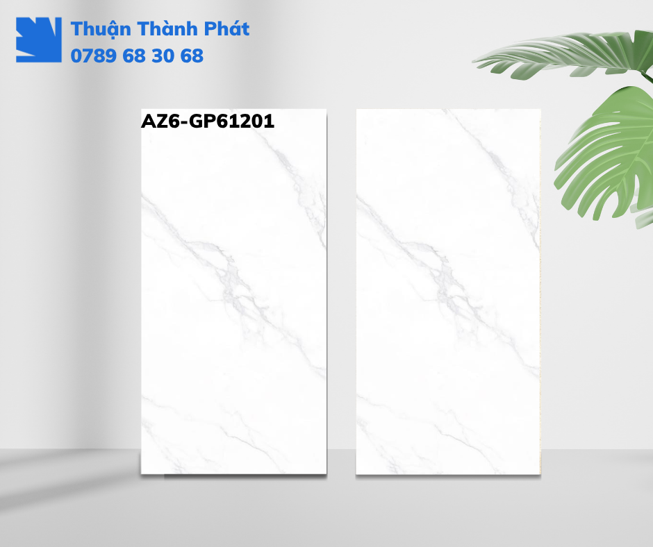 Gạch ốp lát Viglacera AZ6-GP61202 trong phòng khách, vân đá be, men bóng