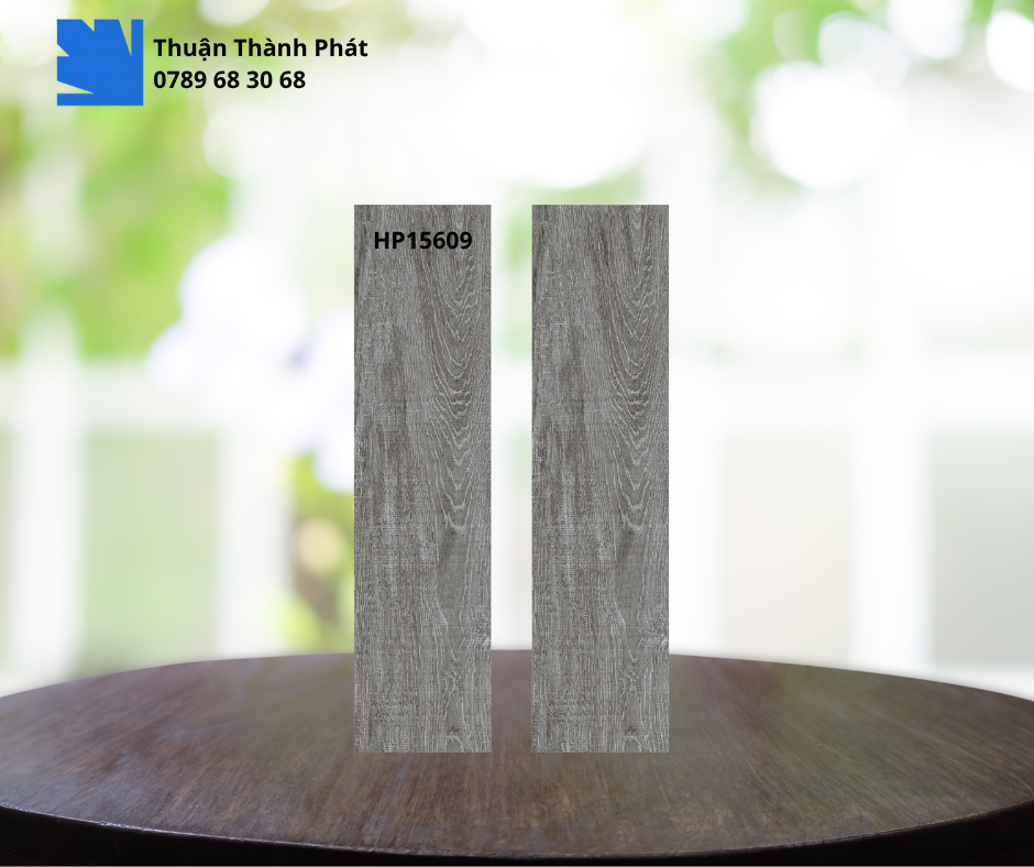 Gạch Ốp Lát feliz HP15609