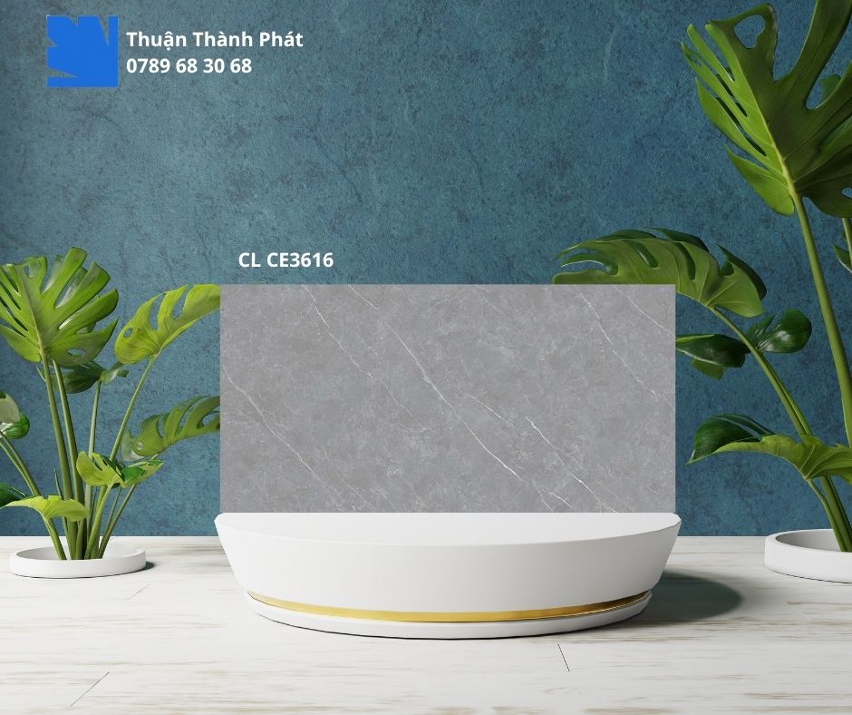 Gạch Ốp Lát Viglacera CL CE3616