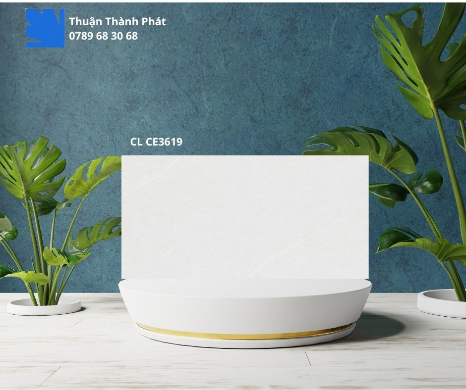 Gạch Ốp Lát Viglacera CL CE3619